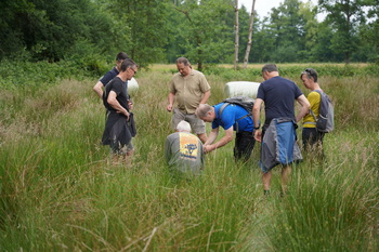 Kruiden determineren