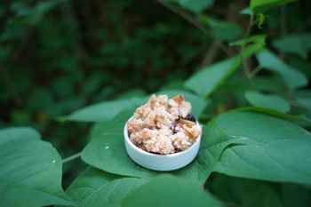 Crumble van Japanse Duizendknoop